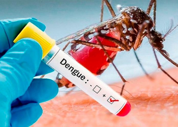 dengue hemorragico
