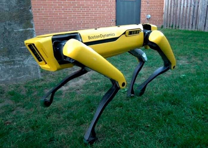 perro robotico