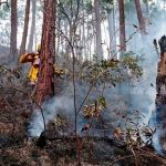 incendio forestal en reserva indio maiz