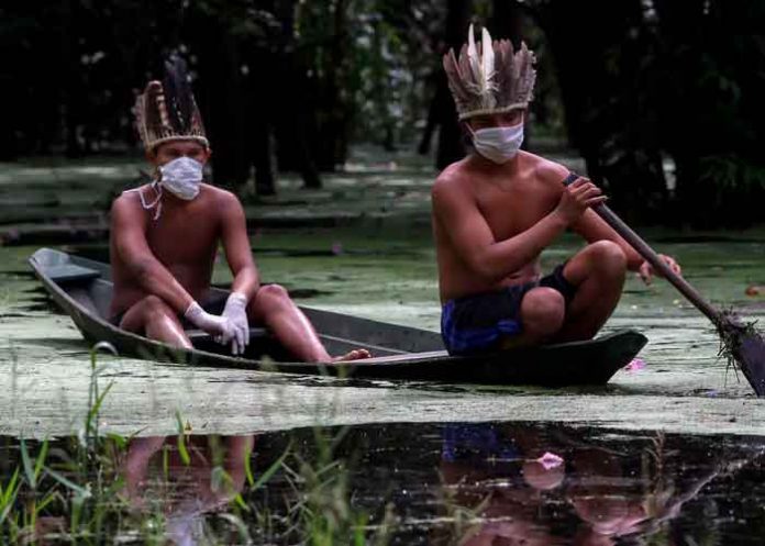 Brasil, comunidades indígenas, gobierno, proteger