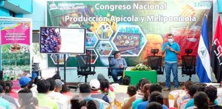 produccion apicola, nicaragua, inta, exportaciones,