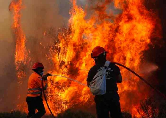 grecia, incendio forestal, bomberos, emergencia,