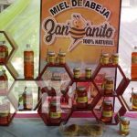 nicaragua, miel, apicultura, reunion, marena, miel,