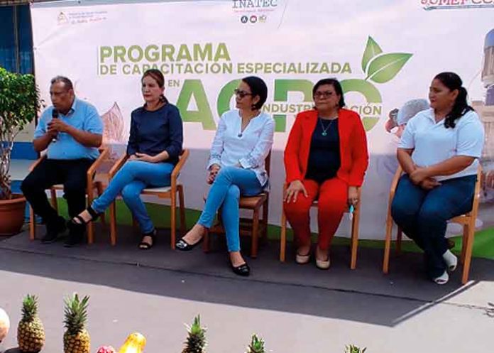 nicaragua, inatec, mefcca, programa, agroindustria