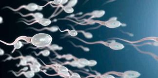 salud, esperma, infertilidad masculina, mutaciones, metodos