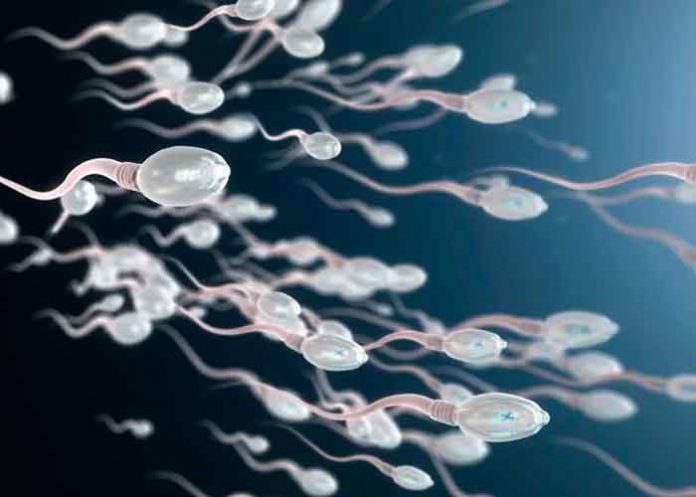 salud, esperma, infertilidad masculina, mutaciones, metodos