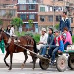 colombia, prohibicion, actividades, carretas, carruaje, caballos, animales,