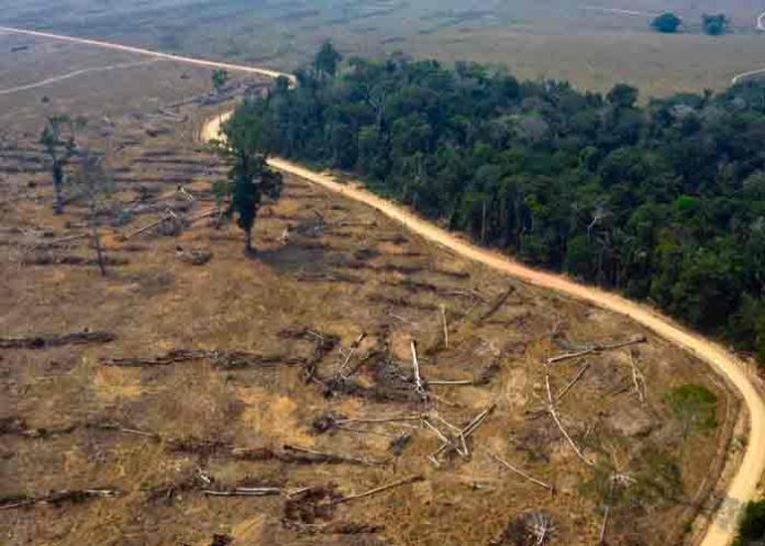brasil, medio ambiente, deforestacion, amazonia,