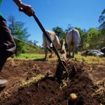 Nicaragua se prepara con estrategias y tecnologías ante la instalación del fenómeno meteorológico El Niño en el país.