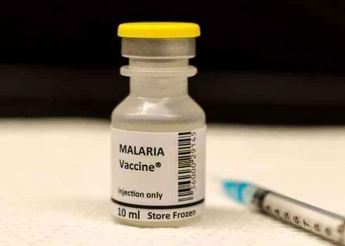 salud, vacuna, malaria, biontech, estudio