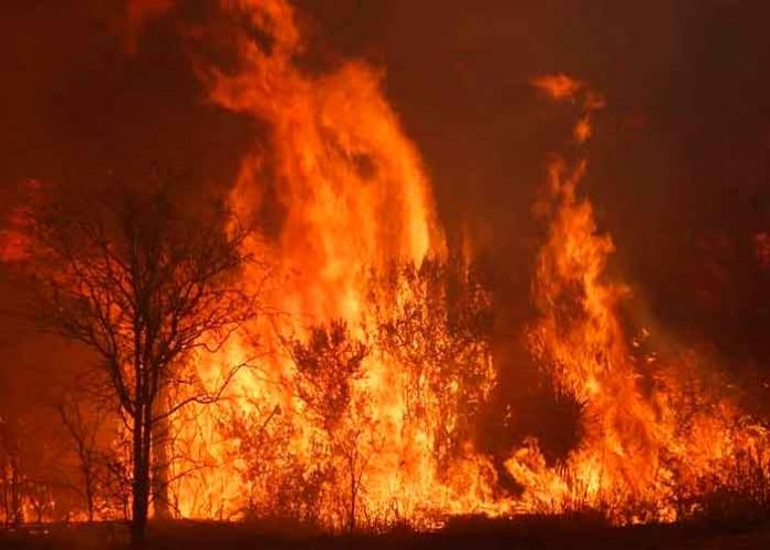 Brasil, mato grosso, incendios, medio ambiente,