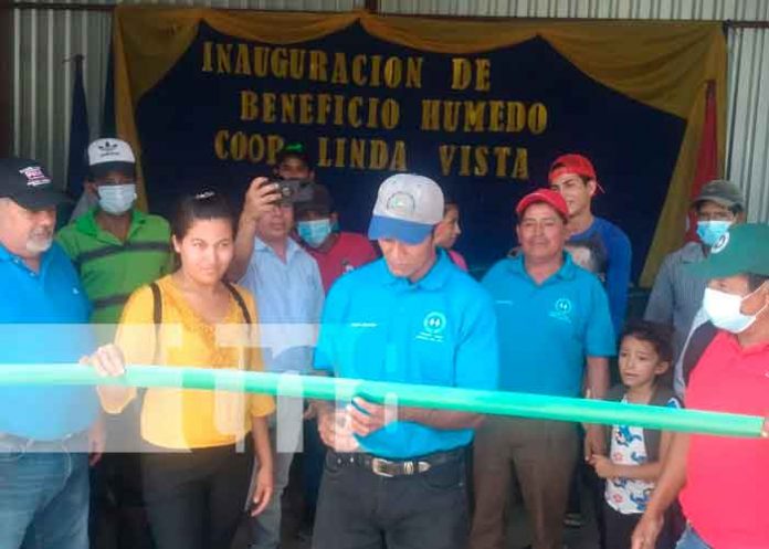 Foto: Beneficio Húmedo fue inaugurado por el MEFCCA en Jinotega/TN8