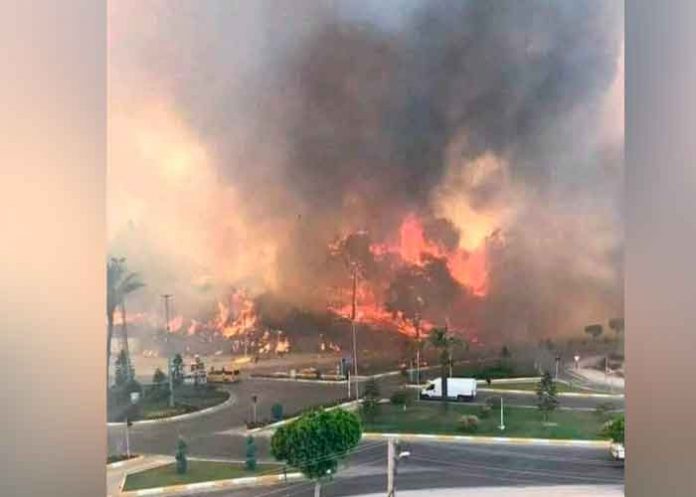 incendio forestal en Turquía
