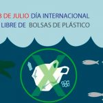 bolsas, recicla, dia internacional, plástico,