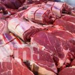 Foto: Crece exportación de carne en Nicaragua / TN8