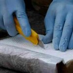 Costa Rica: Autoridades detienen a tres personas con 900 kilos de cocaína