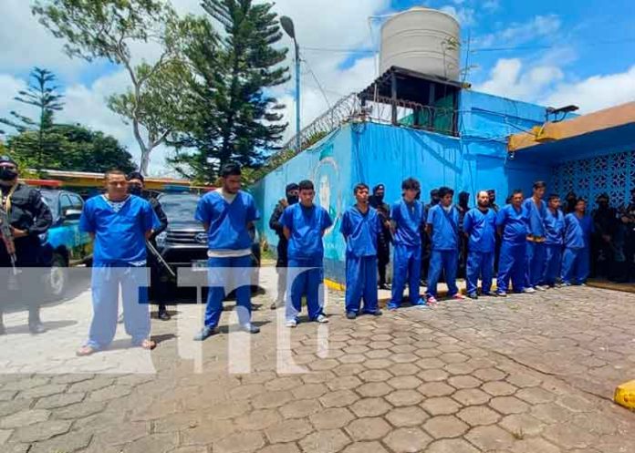 Delincuentes detenidos en el departamento de Masaya / TN8