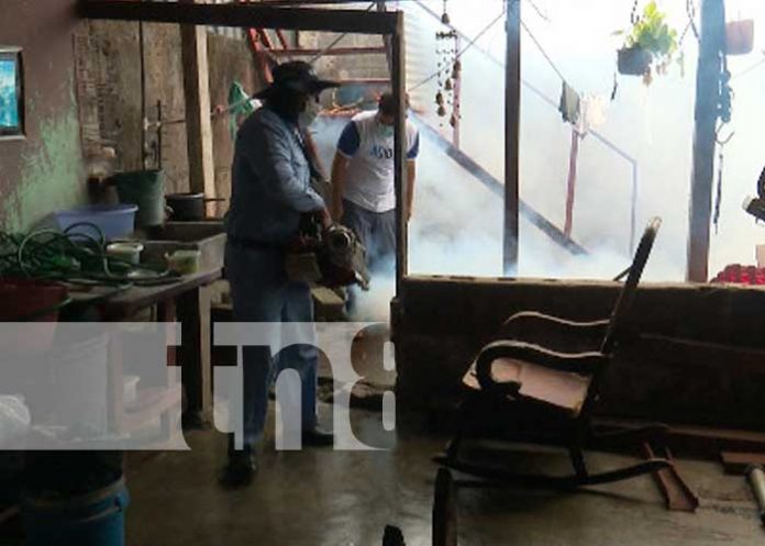 Fumigación para eliminar el zancudo en Managua