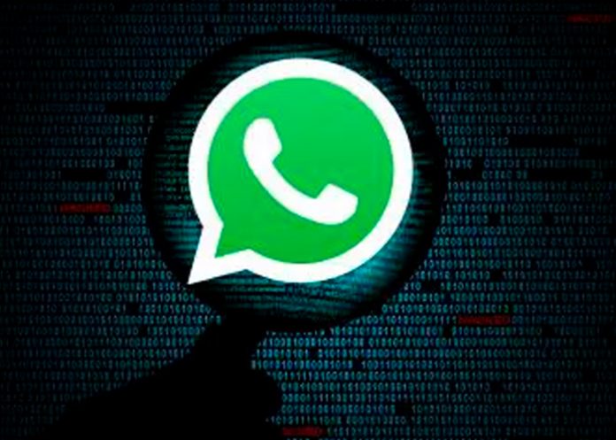 WhatsApp, conexión, imágenes, videos,