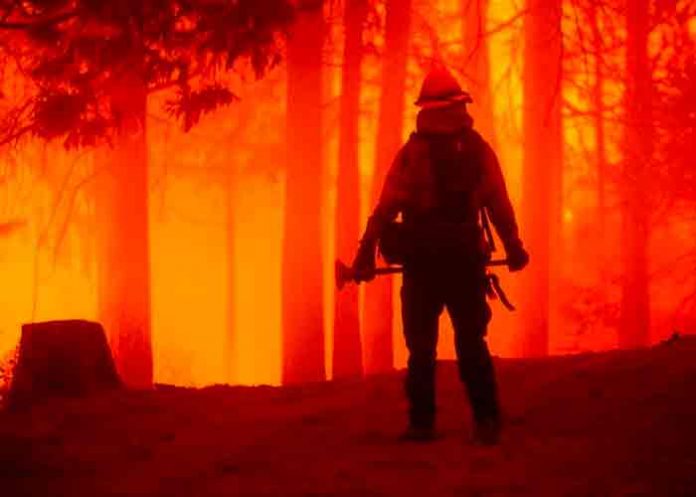 Estados Unidos reporta más de 80 incendios forestales activos