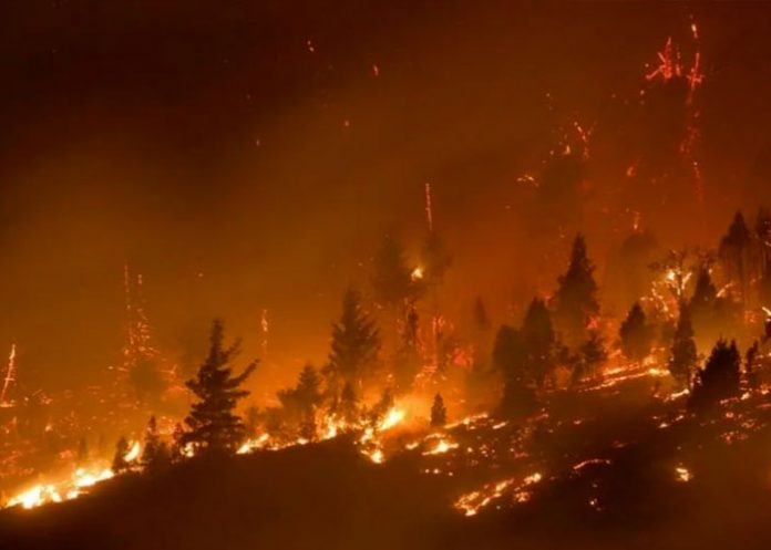 Debido a las altas temperaturas, las llamas grandes y pequeñas, azotan varias hectáreas del continente europeo llegando casi hasta Rusia