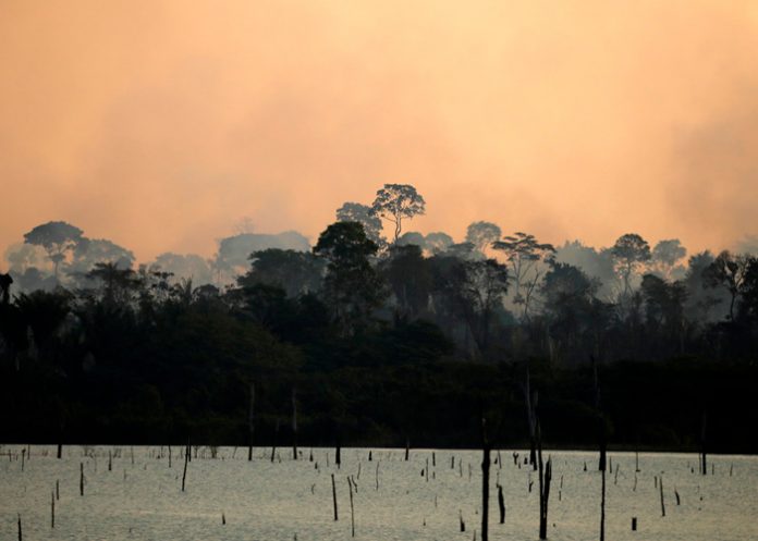 Un incendio calcinó un área de la selva amazónica cerca del río Jamari en el estado de Rondonia, el 11 de septiembre de 2019 / Bruno Kelly / Reuters