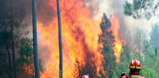 Bomberos combaten importante incendio en el sur de Portugal