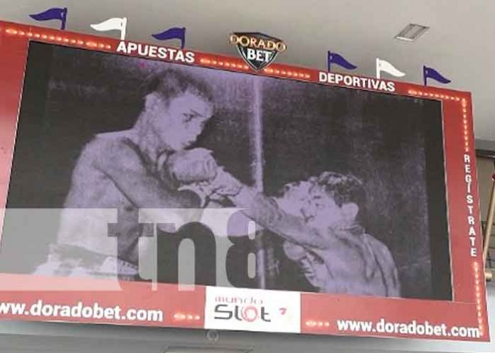 Nicaragua rinde homenaje a la leyenda del Boxeo, “El ratón” Mojica