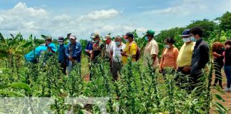 Programa Adelante y Usura Cero, fomento a la economía de Nicaragua