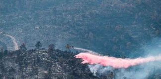 Israel logra controlar incendios forestales tras 52 horas de lucha