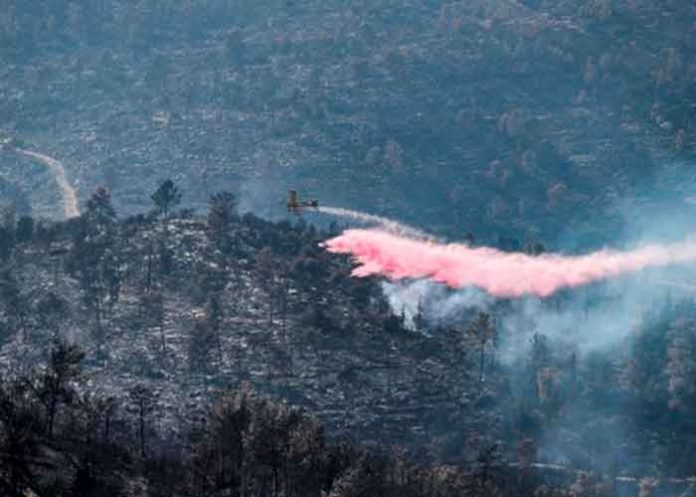 Israel logra controlar incendios forestales tras 52 horas de lucha
