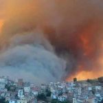 Argelia: turba mata a hombre sospechoso de provocar incendios