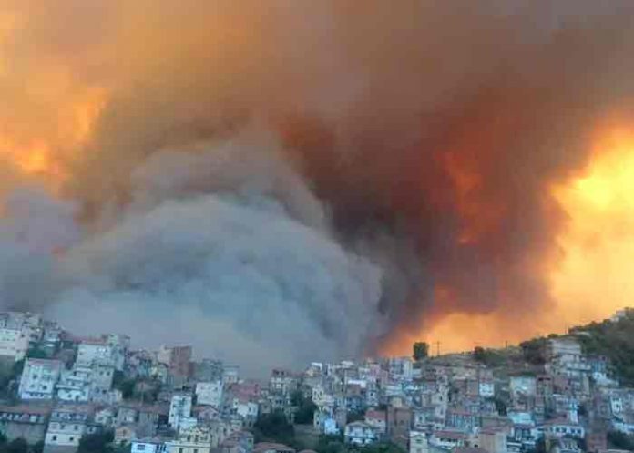 Argelia: turba mata a hombre sospechoso de provocar incendios