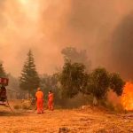 Presidente de Turquía declara "estado de catástrofe" por incendios