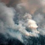 Catástrofe: Siberia arde mientras el humo llegue hasta el Polo Norte