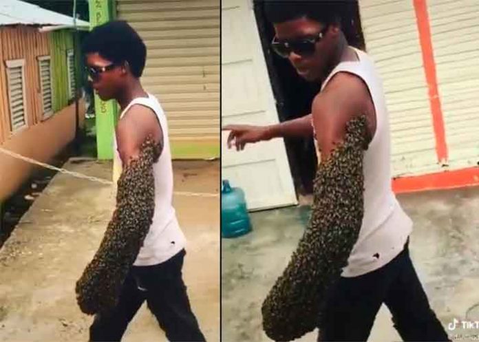 Un joven sorprende al trasladar una colmena abejas en su brazo (VIDEO)