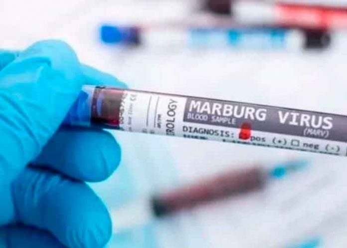 ¡Tan mortífera como el ébola! Primer caso virus de Marburgo en África