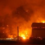 Foto: Subió a 69 el número de muertos por incendios en Argelia / AFP