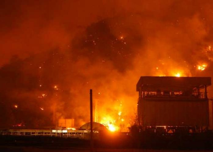 Foto: Subió a 69 el número de muertos por incendios en Argelia / AFP