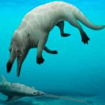 Científicos egipcios descubren nueva especie de ballena de cuatro patas
