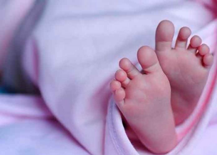 Un Bebé recién nacido sobrevive sobre el cadáver de su mamá