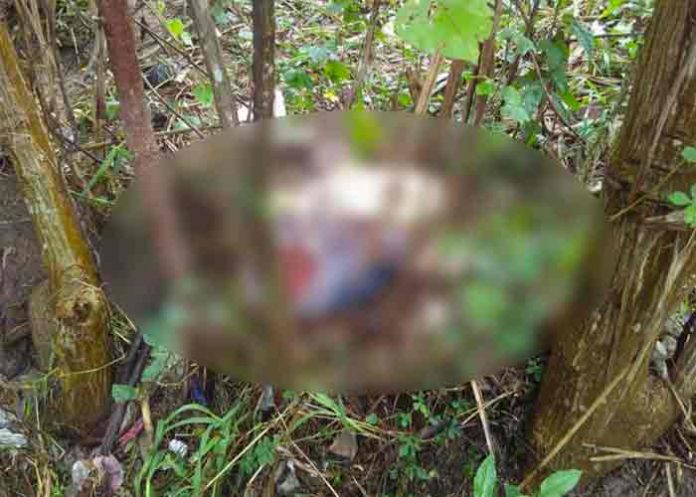 Hallan a mujer decapitada en el norte de Honduras