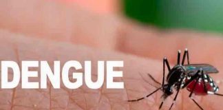 Costa Rica registra 69 por ciento menos casos de dengue