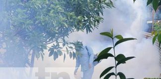 Fumigación para eliminar el zancudo en Managua
