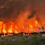 Incendio consume la reserva forestal parque Juquery en Brasil