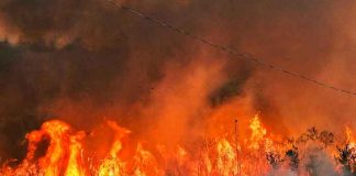 Incendio consume la reserva forestal parque Juquery en Brasil
