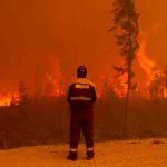 Siberia declara emergencia interregional por incendios forestales