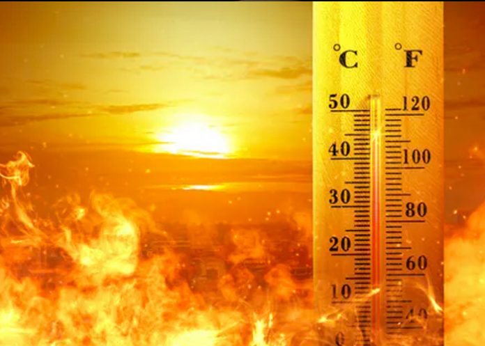 Julio fue el mes más caluroso en 142 años en la Tierra