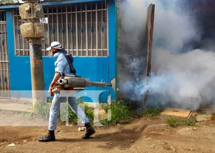 Jornada de fumigación en Managua para eliminar zancudos