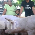 INTA entrega bono porcino a familias de Ometepe